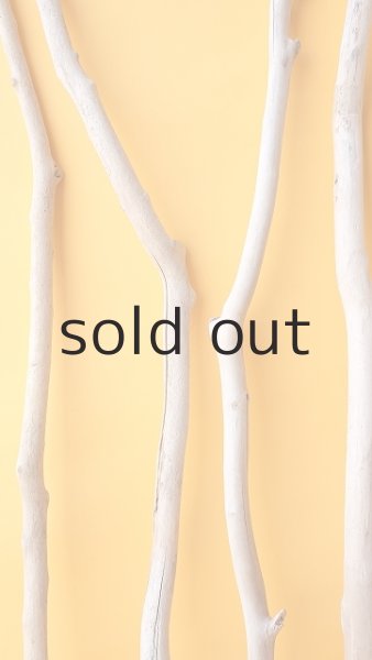 画像3: 小枝流木セット (3)