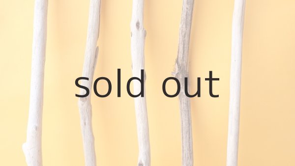 画像3: 小枝流木セット (3)