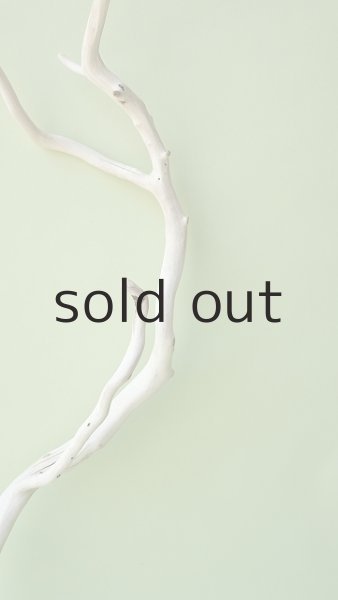 画像3: 枝流木 (3)