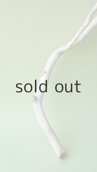 画像2: 枝流木 (2)