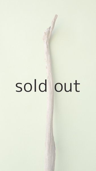 画像4: 流木根（中型） (4)