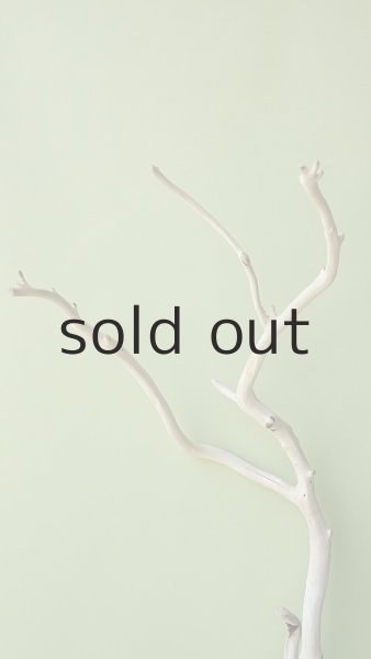 画像4: 枝流木 (4)