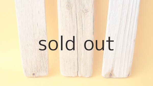 画像2: 板流木セット (2)