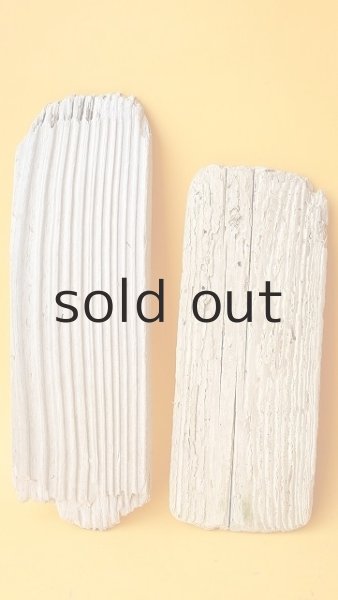 画像2: 板流木セット (2)