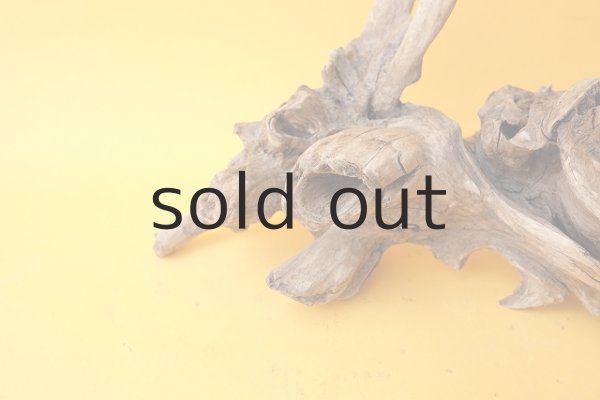 画像4: 変形流木 (4)