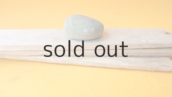 画像4: 板流木セット (4)