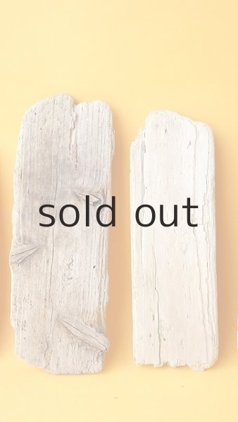 画像3: 板流木セット (3)