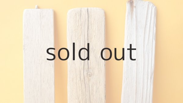 画像3: 板流木セット (3)