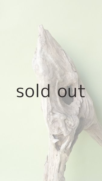 画像3: 変形流木 (3)