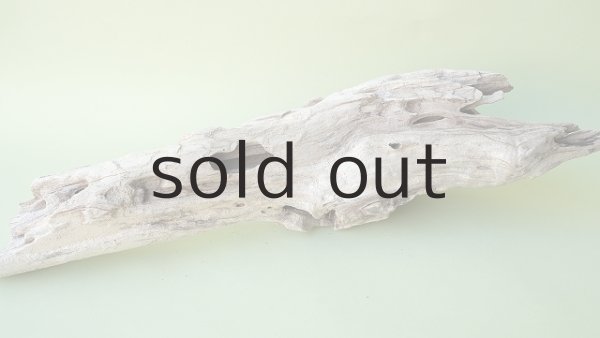 画像5: 変形流木 (5)