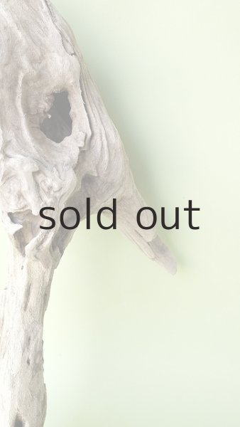 画像4: 変形流木 (4)