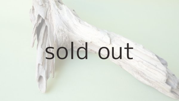 画像6: 変形流木 (6)