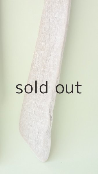 画像4: 板流木セット (4)