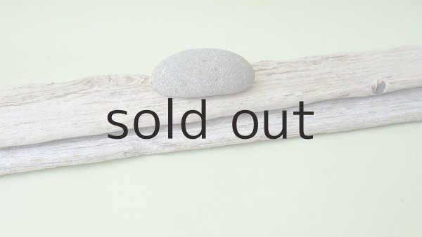 画像4: 板流木セット (4)