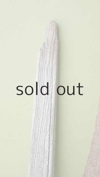 画像3: 板流木セット (3)