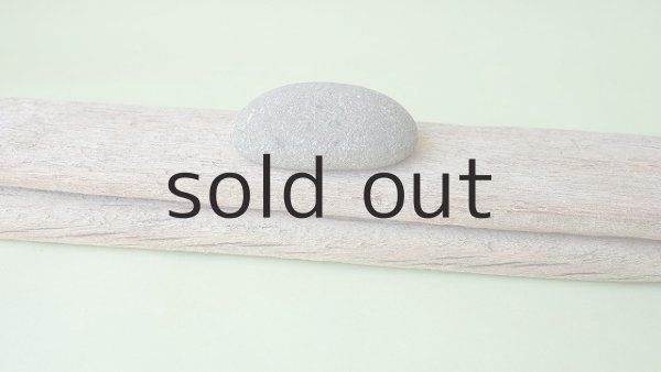 画像4: 板流木セット (4)