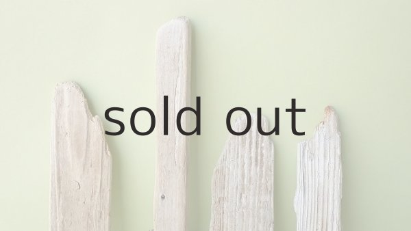 画像3: 板流木セット (3)