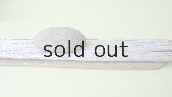 画像6: 板流木セット (6)