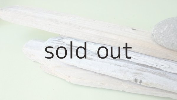 画像5: 板流木セット (5)