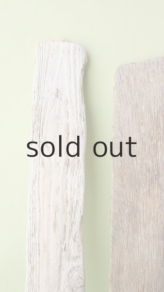 画像3: 板流木セット (3)