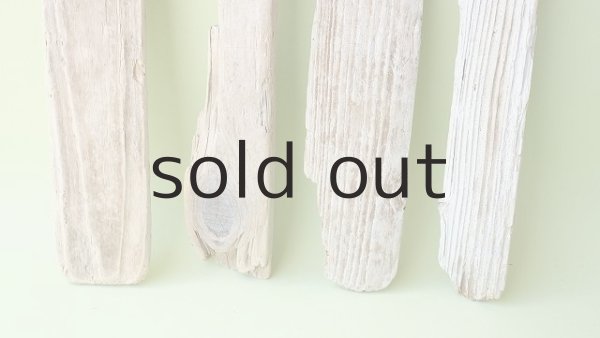 画像2: 板流木セット (2)