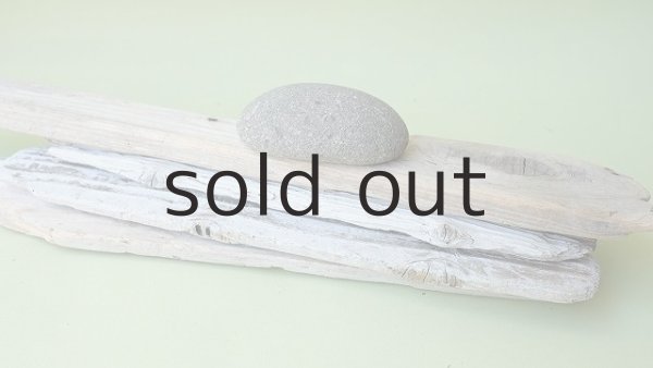 画像4: 板流木セット (4)