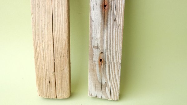 画像2: 板流木セット (2)