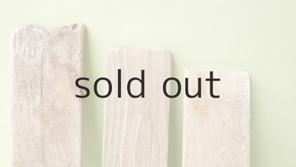 画像3: 板流木セット (3)