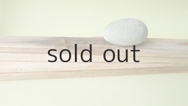 画像5: 板流木セット (5)