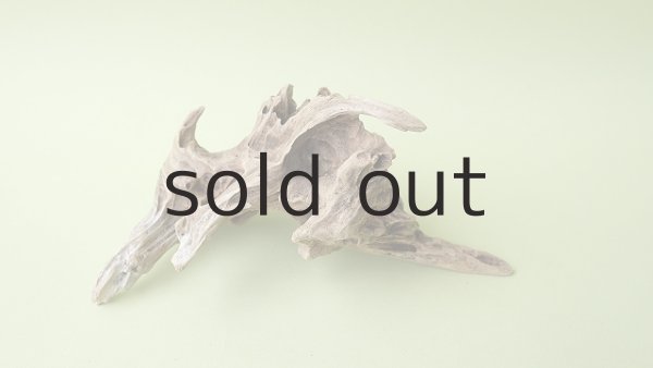 画像3: 変形流木 (3)