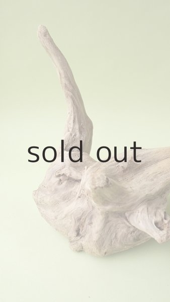 画像2: 変形流木 (2)