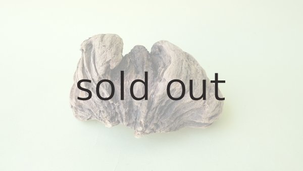 画像4: 変形流木 (4)