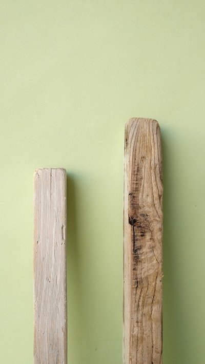 画像1: 板流木セット