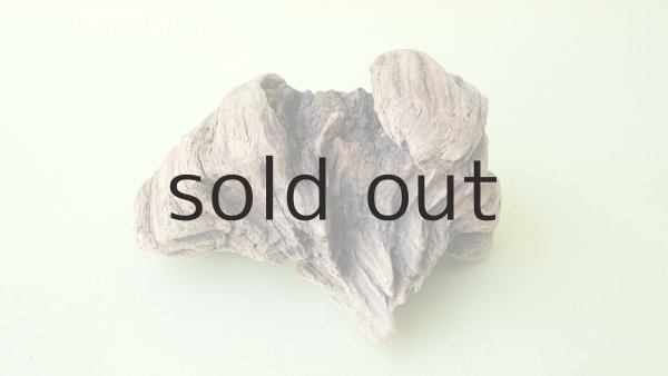 画像3: 変形流木 (3)