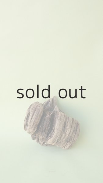 画像2: 変形流木 (2)