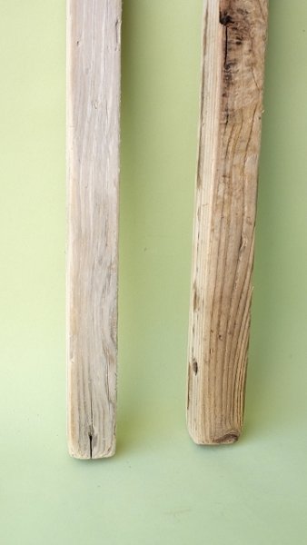 画像2: 板流木セット (2)