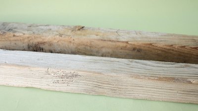 画像2: 板流木セット