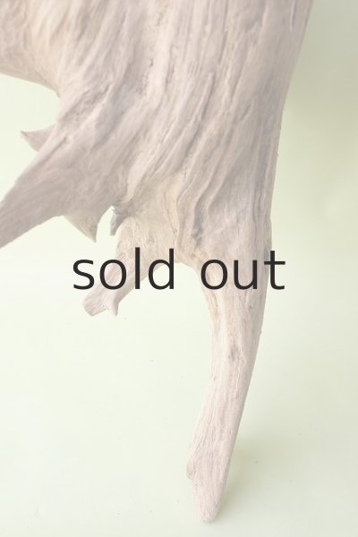 画像6: 大型 根 (6)