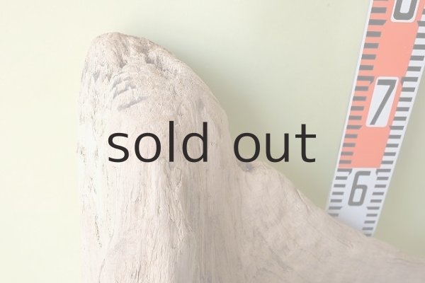 画像10: 大型 根 (10)