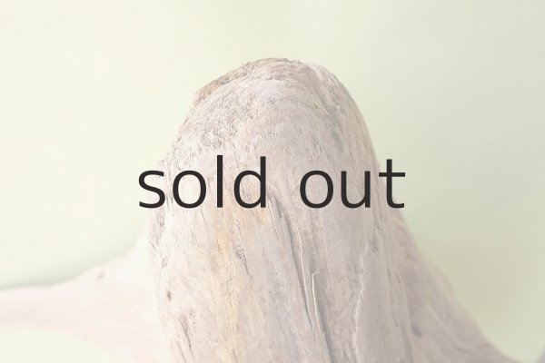 画像4: 大型 根 (4)