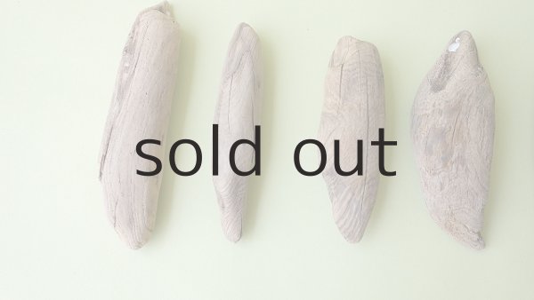 画像2: 変形流木セット (2)