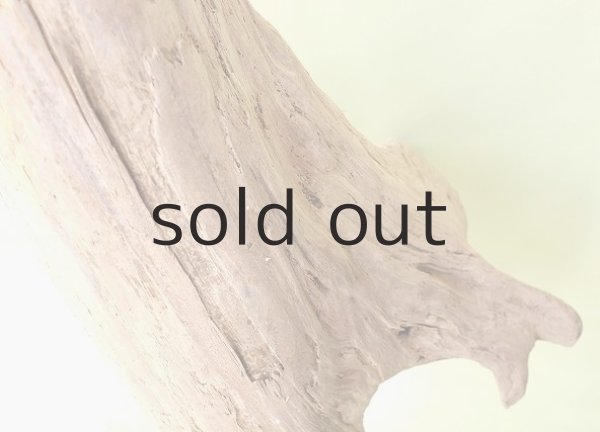 画像3: 大型 根 (3)