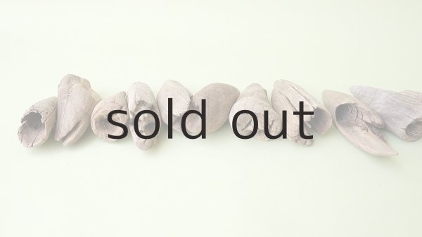 画像6: 変形流木セット (6)