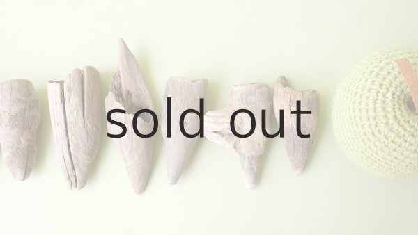 画像4: 変形流木セット (4)