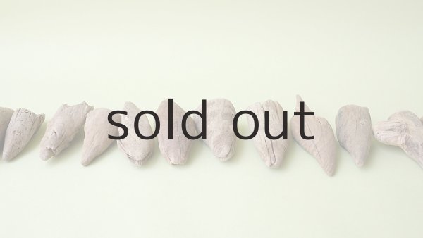 画像5: 変形流木セット (5)