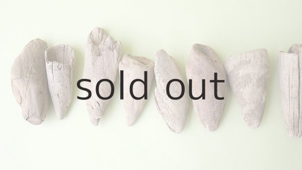 画像2: 変形流木セット (2)