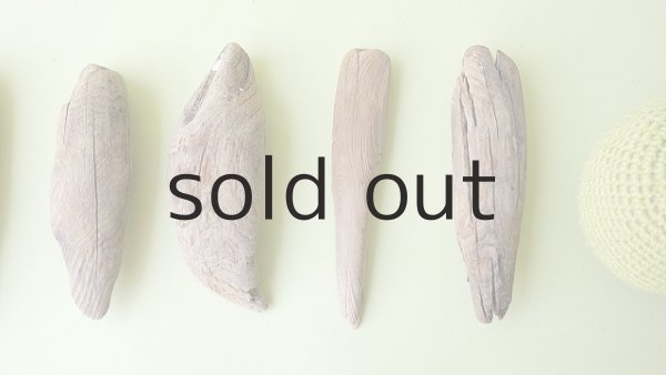 画像3: 変形流木セット (3)