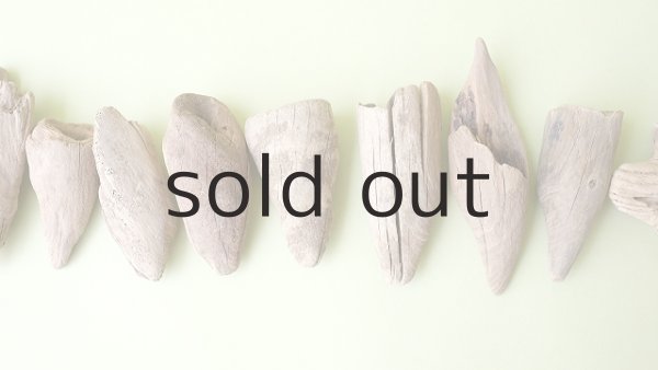 画像3: 変形流木セット (3)