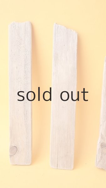 画像2: 板流木セット (2)