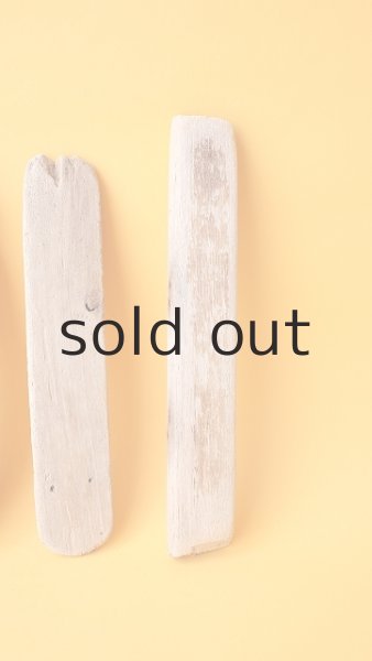 画像4: 板流木セット (4)